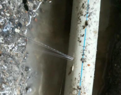 林甸测漏水哪家好