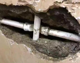 林甸测漏水哪家好