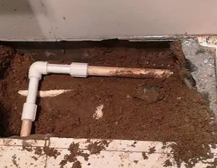 林甸测漏水哪家好