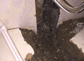 林甸卫生间测漏水哪家好