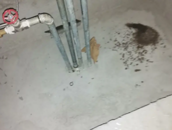 林甸卫生间测漏水价格明细